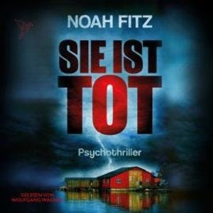 Sie ist tot - Johannes-Hornoff-Thriller, Band 6 (Ungekürzt), Noah Fitz