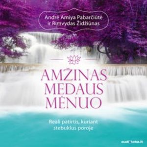 AMŽINAS MEDAUS MĖNUO. Reali patirtis kuriant stebuklus poroje, Andrė Pabarčiūtė, Rimvydas Židžiūnas