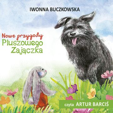 Nowe Przygody Pluszowego Zajączka audiobook, Iwonna Buczkowska