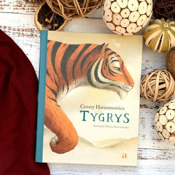 TYGRYS (8-13 lat) audiobook, Anna Jankowska
