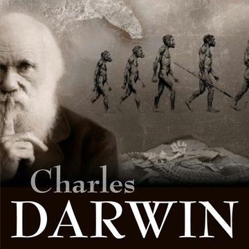 Darwin i jego teoria ewolucji, St. Szary