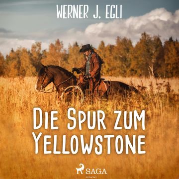 Die Spur zum Yellowstone audiobook, Werner J. Egli