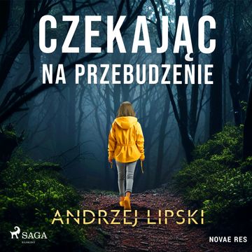Czekając na przebudzenie audiobook, Andrzej Lipski