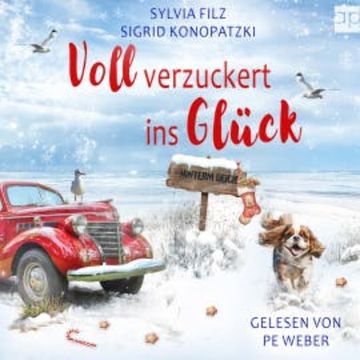 Voll verzuckert ins Glück audiobook, Sylvia Filz