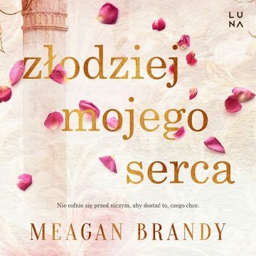 Złodziej mojego serca audiobook, Meagan Brandy
