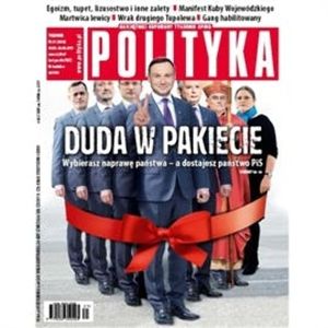 AudioPolityka Nr 21 z 19 maja 2015, Polityka