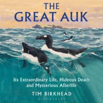 The Great Auk audiobook, Tim Birkhead