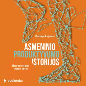 ASMENINIO PRODUKTYVUMO ISTORIJOS. Eksperimentuojančio žmogaus užrašai, Mindaugas Grajauskas