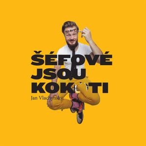 Šéfové jsou kok*ti, Jan Vlachynský