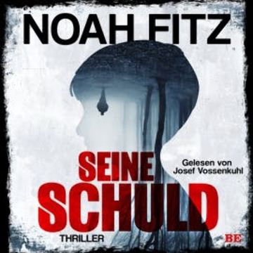 Seine Schuld audiobook, Noah Fitz