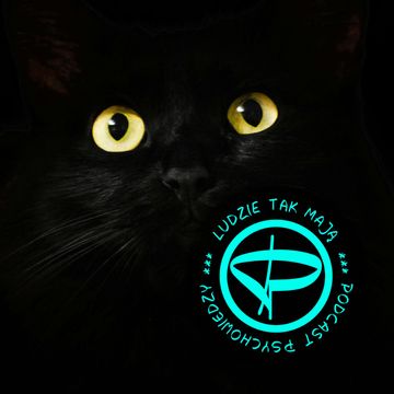 Siedem życzeń audiobook, Przemek Mućko