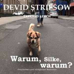 Warum, Silke, warum? - Geschichten vom alltäglichen Wahnsinn (ungekürzte Lesung), Tankred Lerch