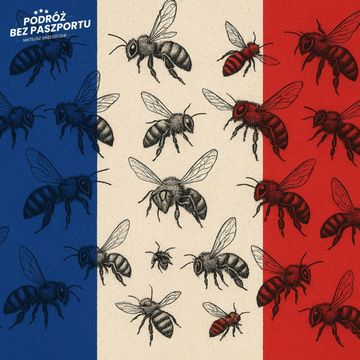 Francja: nowe przepisy dla rolników, acetamipryd zakazany audiobook, Mateusz Grzeszczuk