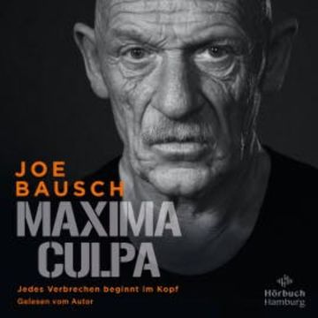 Maxima Culpa audiobook, Joe Bausch