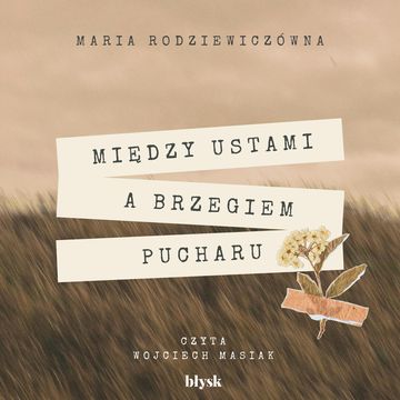 Między ustami a brzegiem pucharu audiobook, Maria Rodziewiczówna