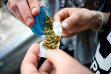 Pěstovat, nesklízet. Nová pravidla týkající se konopí jsou nedotažená, ale lepší než nic audiobook, Andrea Procházková, Erik Tabery