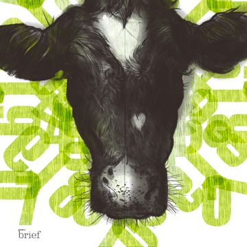 Brief #68 – Antysemityzm i islamofobia na świecie, sceptycyzm w UE i nowa forma życia audiobook, Outride.rs