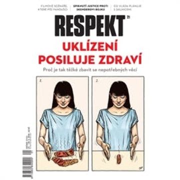 Respekt 21/2016, Respekt