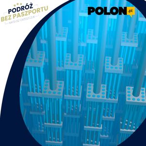 Skąd Polska weźmie paliwo jądrowe? | Polon.pl, Mateusz Grzeszczuk