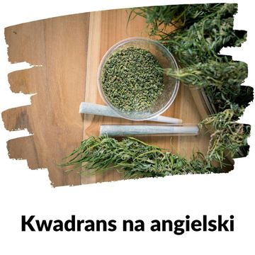 KNA: Lekcja 240 (narkotyki) audiobook, Szymon Marciniak