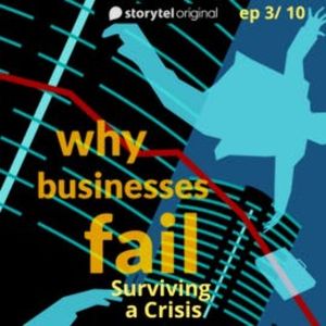 Why Businesses Fail? S01E03, Amar Deshpande
