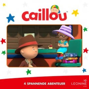 Folgen 45-48: Ein großes Missverständnis audiobook, N.N.