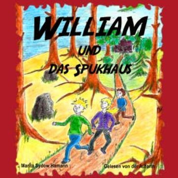 William und das Spukhaus audiobook, Marita Sydow Hamann