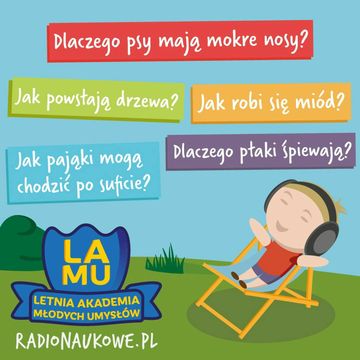 LAMU'22 #07 Jak pająki chodzą po suficie? Czemu psy mają mokre nosy? Dlaczego ptaki śpiewają? audiobook, Karolina Głowacka