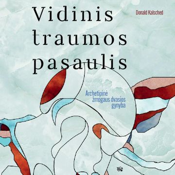 VIDINIS TRAUMOS PASAULIS. Archetipinė žmogaus dvasios gynyba audiobook, Donald Kalsched