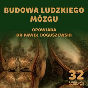 #32 Czy mózg jest jak cebula? O budowie najważniejszego organu | dr Paweł Boguszewski, Karolina Głowacka