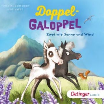 DoppelGaloppel 1. Zwei wie Sonne und Wind audiobook, Chantal Schreiber
