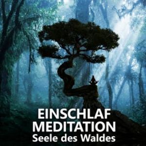 Einschlafmeditation | Seele des Waldes, Raphael Kempermann