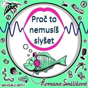 Proč to nemusíš slyšet, Romana Smělíková