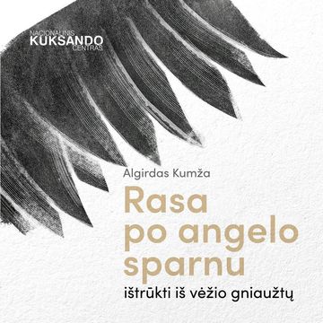 RASA PO ANGELO SPARNU. Ištrūkti iš vėžio gniaužtų audiobook, Algirdas Kumža