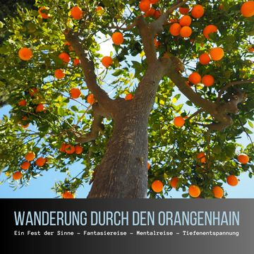 Wanderung durch den Orangenhain: Ein Fest der Sinne - Fantasiereise - Mentalreise - Geführte Tiefenentspannung - Gedankenreise audiobook, Patrick Lynen
