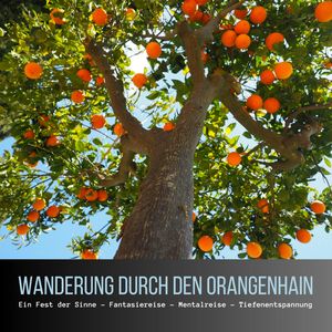 Wanderung durch den Orangenhain: Ein Fest der Sinne - Fantasiereise - Mentalreise - Geführte Tiefenentspannung - Gedankenreise, Patrick Lynen