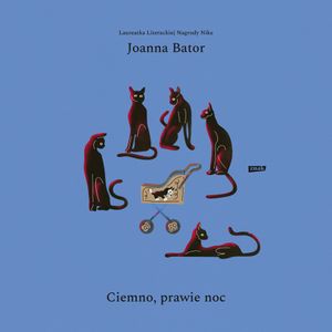 Ciemno, prawie noc, Joanna Bator