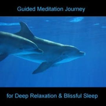 Guided Meditation Journey - Dolphins - Beach - Sea audiobook, Anke Moehlmann