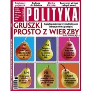 AudioPolityka Nr 36 z 31 sierpnia 2011 roku, Polityka