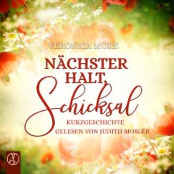 Nächster Halt, Schicksal audiobook, Veronica More
