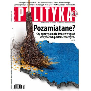 AudioPolityka Nr 23 z 5 czerwca 2019, Polityka