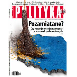 AudioPolityka Nr 23 z 5 czerwca 2019, Polityka