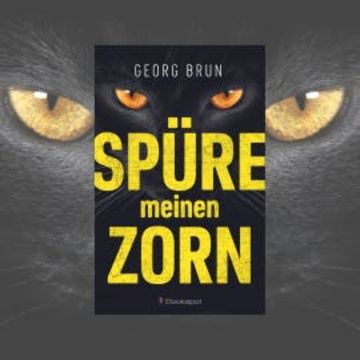 Spüre meinen Zorn audiobook, Georg Brun