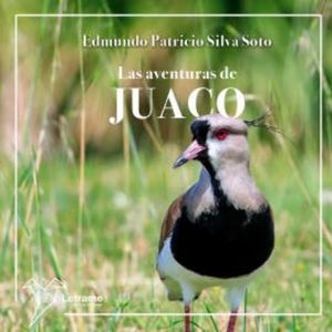 Las aventuras de Juaco, Edmundo Patricio Silva Soto