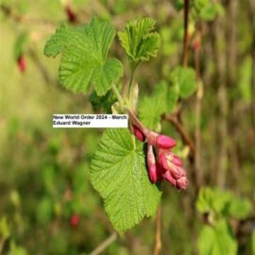 New World Order 2024 March audiobook, Eduard Wagner