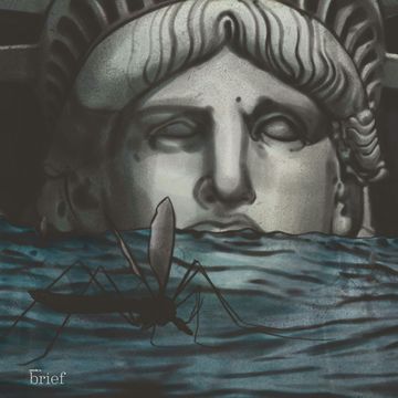 Brief #116 – Atmosfera wodorowa, ulewne deszcze i znikające lasy audiobook, Outride.rs