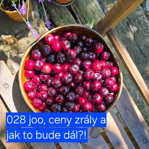 028 joo, ceny zrály a jak to bude dál?!, Hana Kuncová, Lukáš Hejlík