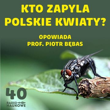 #40 Życie na ostro wśród sielskich kwiatów. Wiosenny podcast o zapylaczach | prof. Piotr Bębas audiobook, Karolina Głowacka