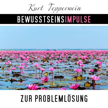 Bewusstseinsimpulse zur Problemlösung, Kurt Tepperwein