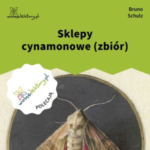 Sklepy cynamonowe (zbiór), Bruno Schulz